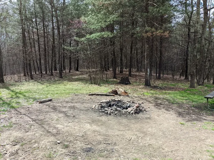 Green Ridge State Forest Camp Site #6 9