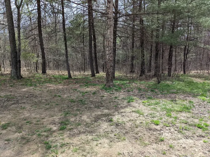 Green Ridge State Forest Camp Site #6 10