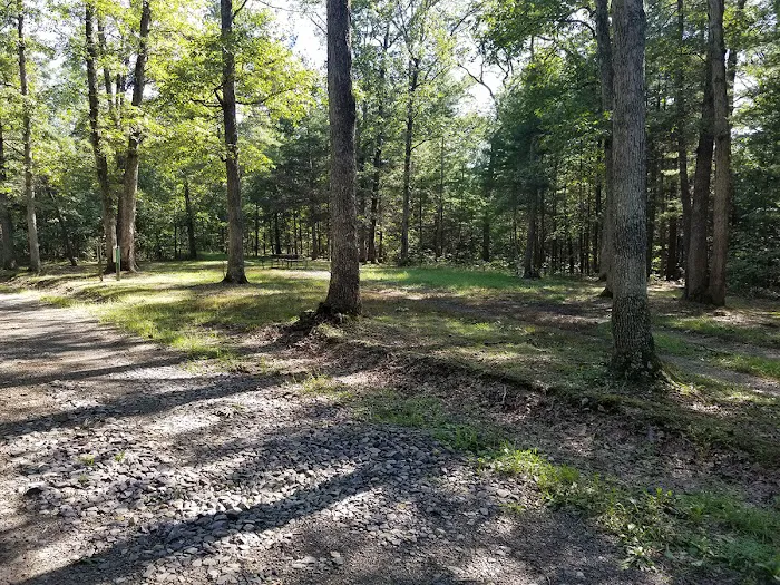 Green Ridge State Forest Campsite #7 3