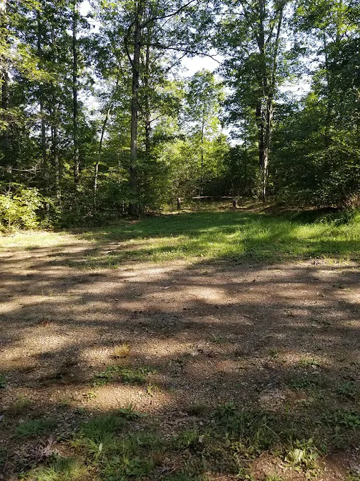 Green Ridge State Forest Campsite #7 2