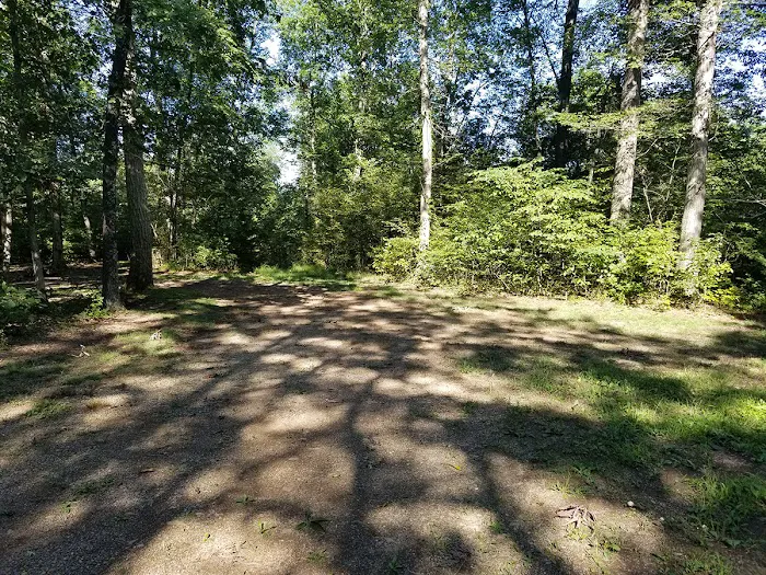 Green Ridge State Forest Campsite #7 4
