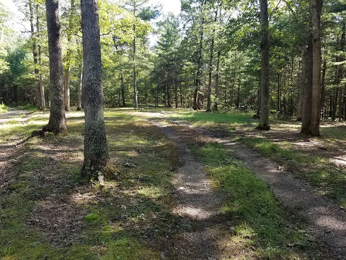 Green Ridge State Forest Campsite #7 5