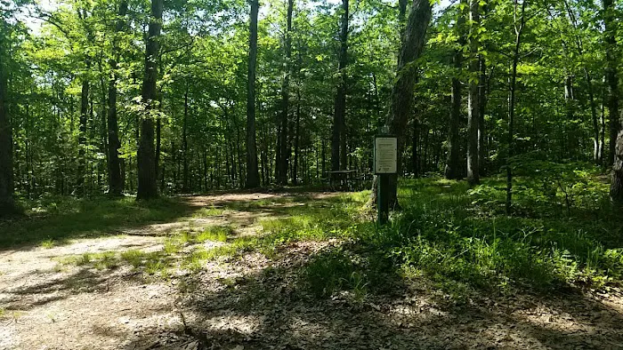 Green Ridge State Forest Campsite 16 1