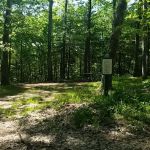 Green Ridge State Forest Campsite 16