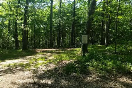 Green Ridge State Forest Campsite 16