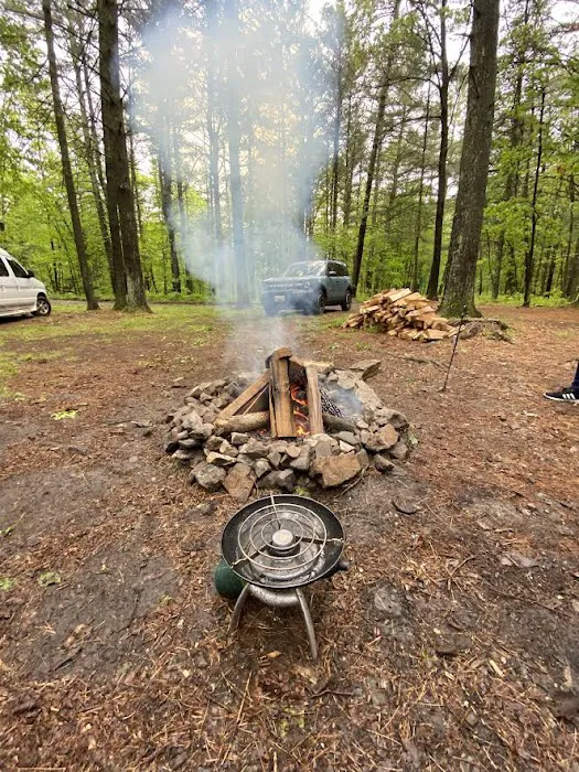 Green Ridge State Forest Campsite 16 3
