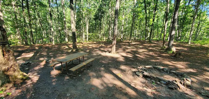 Green Ridge State Forest Campsite 17 2
