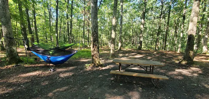 Green Ridge State Forest Campsite 17 1