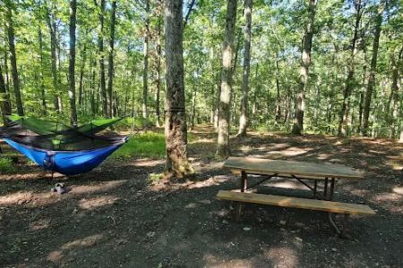 Green Ridge State Forest Campsite 17