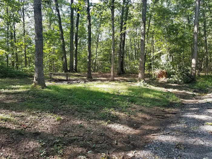 Green Ridge State Forest Campsite #8 2