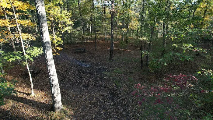 Green Ridge State Forest Campsite #8 1