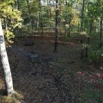 Green Ridge State Forest Campsite #8