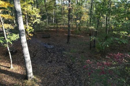 Green Ridge State Forest Campsite #8