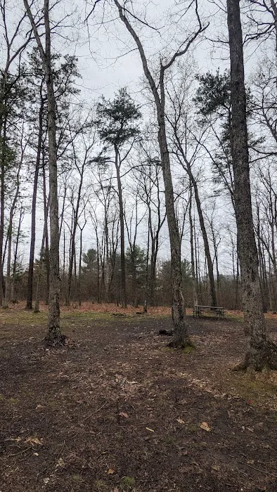 Campsite 18 3