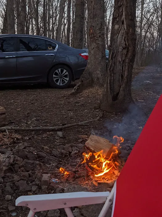 Campsite 18 2