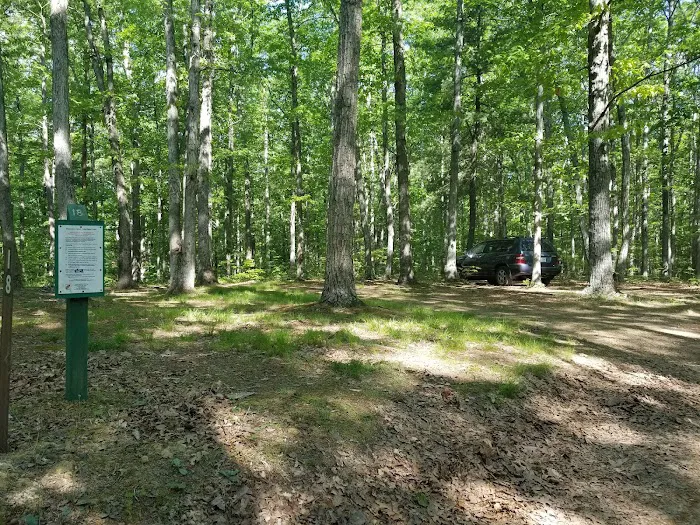 Campsite 18 5