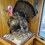 Green Ridge State Forest Campground #4