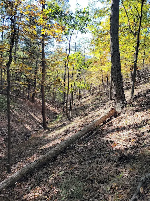 Green Ridge State Forest Campground #4 5