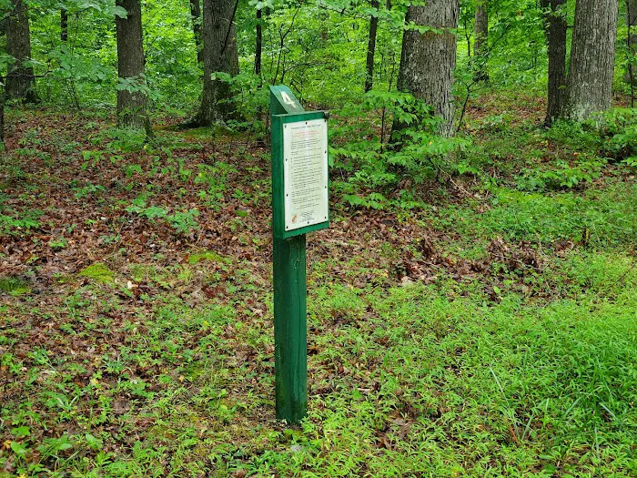 Green Ridge State Forest Campground #4 9