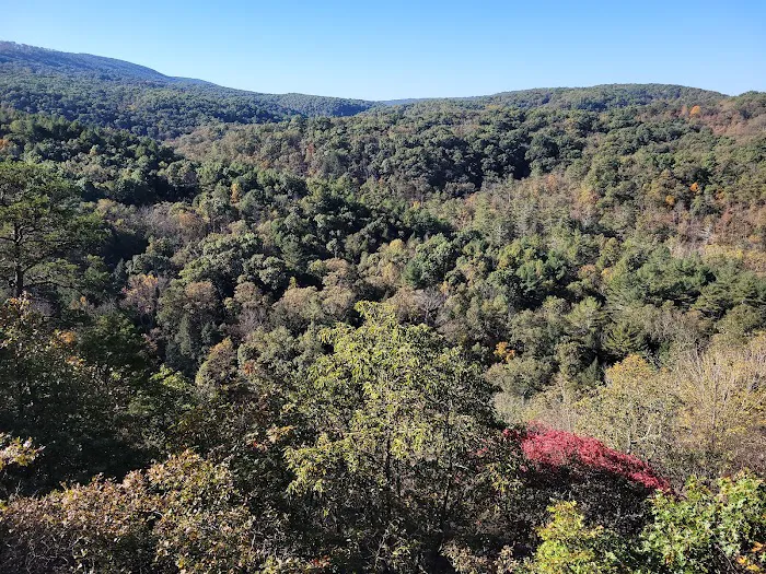 Green Ridge State Forest Campground #4 4