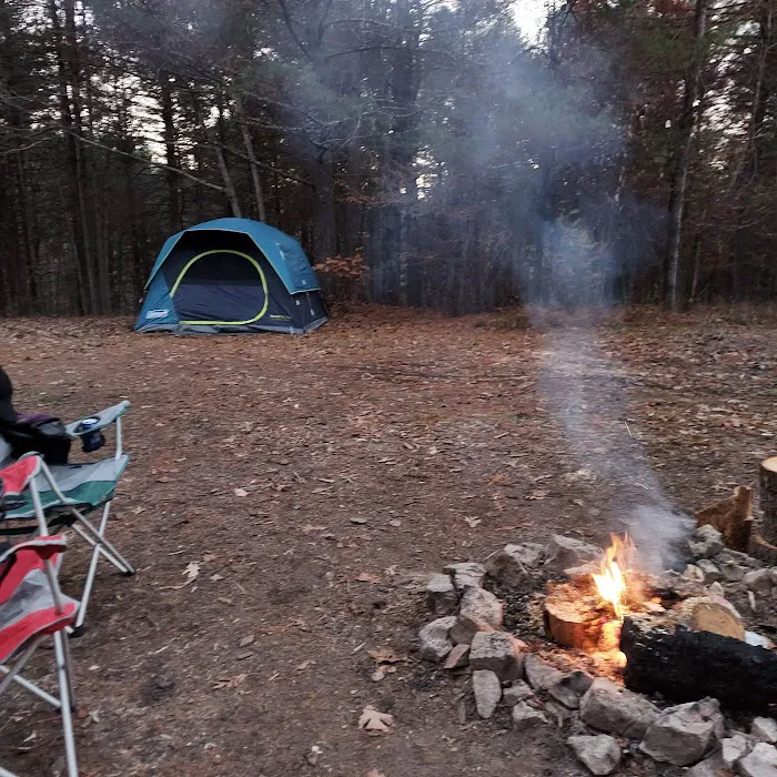 Campsite 14 1