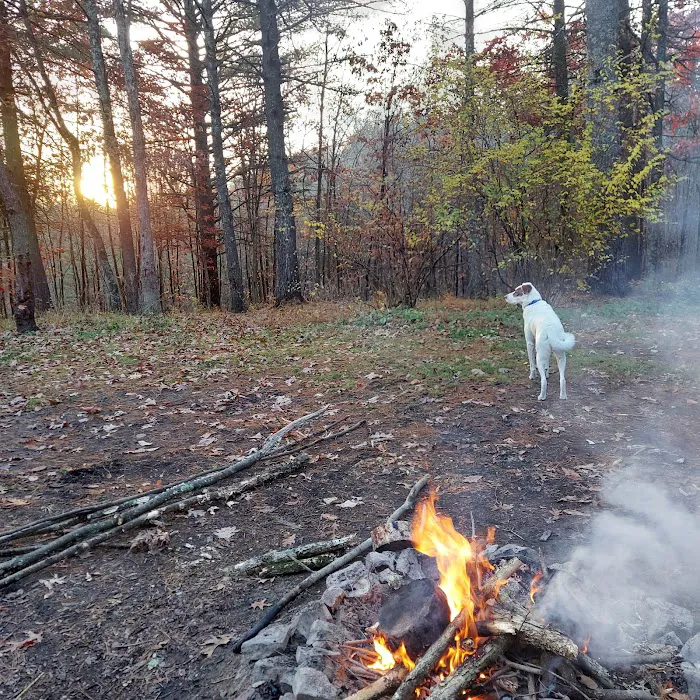 Campsite 14 2