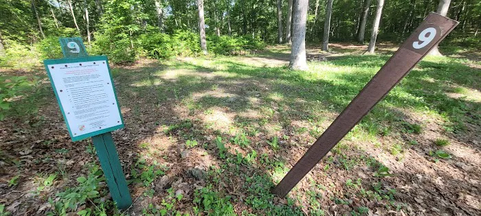 Green Ridge State Forest Camp Site #9 1