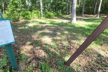 Green Ridge State Forest Camp Site #9