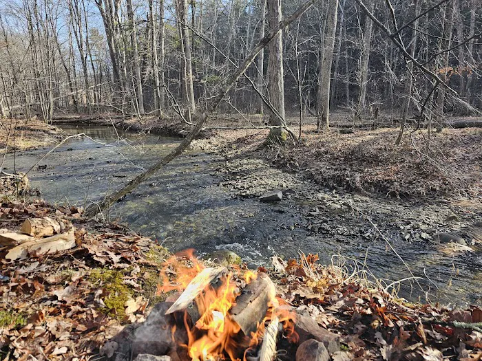 Green Ridge State Forest Campground #3 2