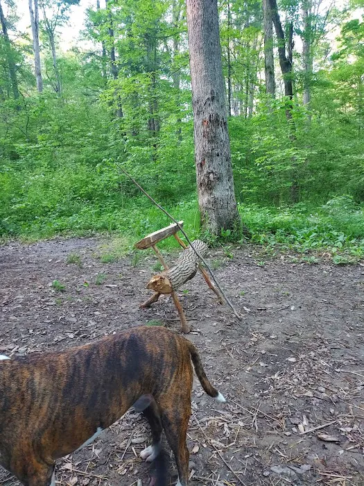 Green Ridge State Forest Campground #3 1
