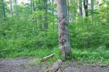 Green Ridge State Forest Campground #3