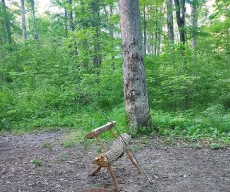 Green Ridge State Forest Campground #3