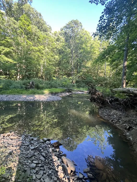 Green Ridge State Forest Campground #3 3