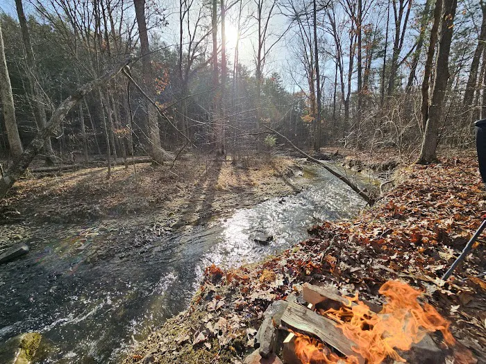 Green Ridge State Forest Campground #3 9