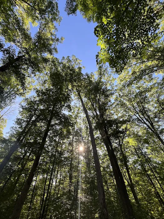 Green Ridge State Forest Campground #3 4