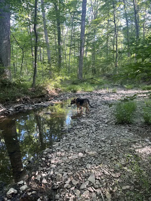 Green Ridge State Forest Campground #3 7