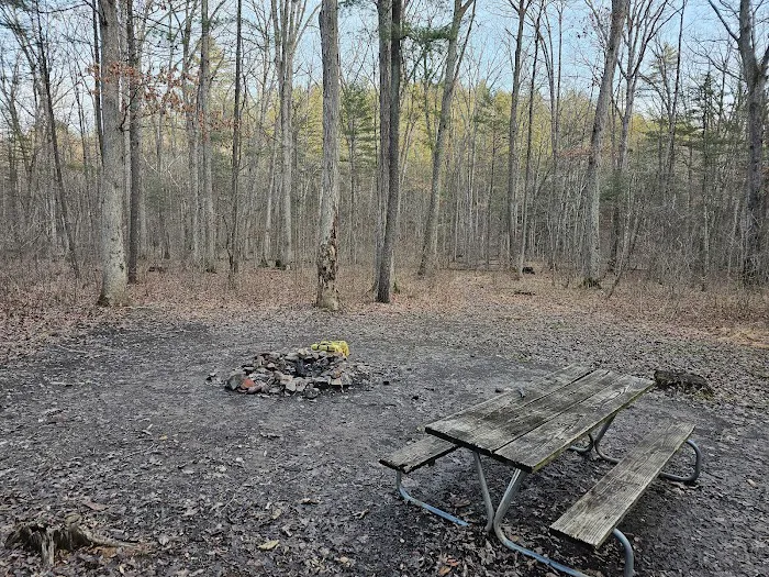 Green Ridge State Forest Campground #3 8