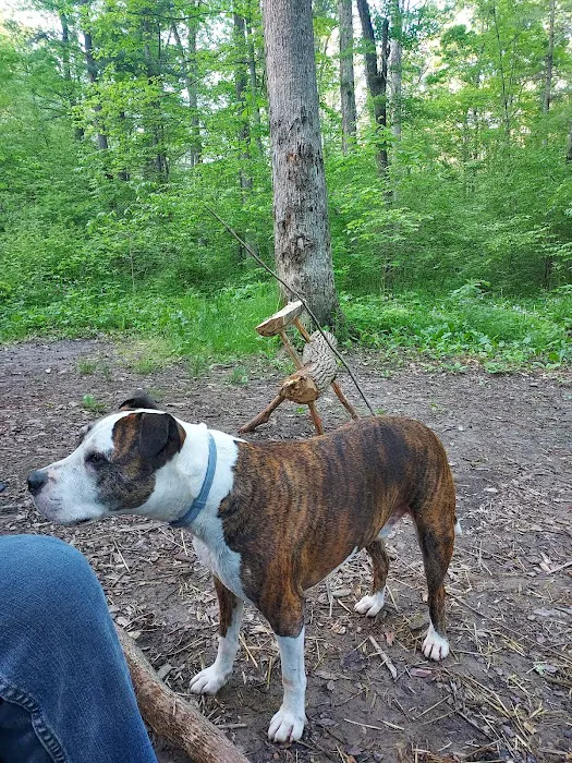 Green Ridge State Forest Campground #3 5