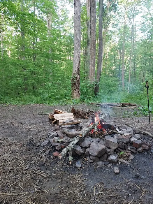 Green Ridge State Forest Campground #3 10
