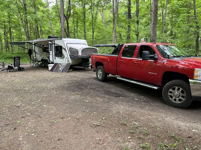 Green Ridge State Forest Campsite #1 3