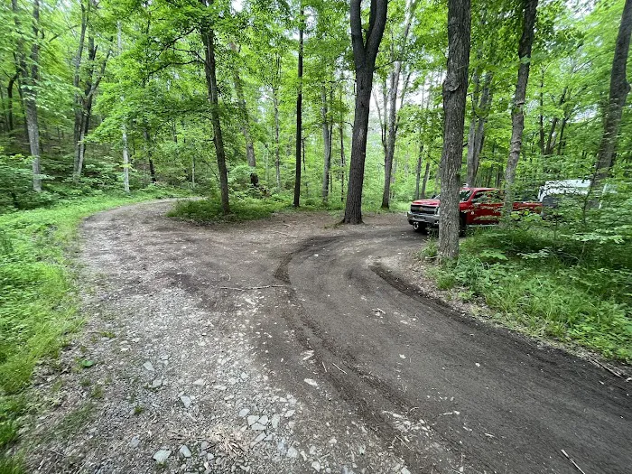 Green Ridge State Forest Campsite #1 5