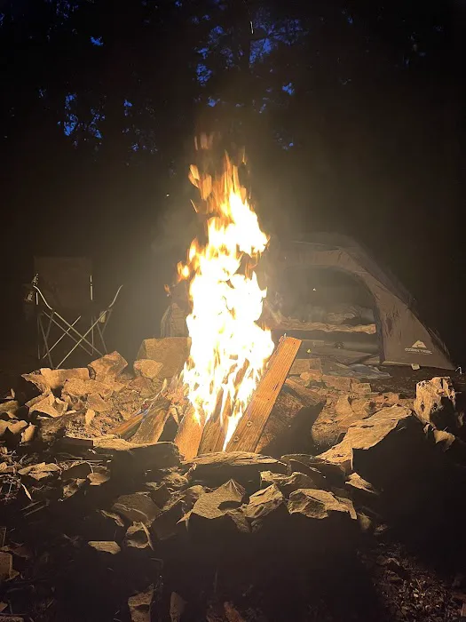 Green Ridge State Forest Campsite #1 6