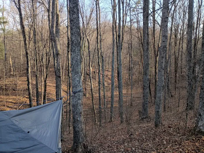 Campsite 77 4