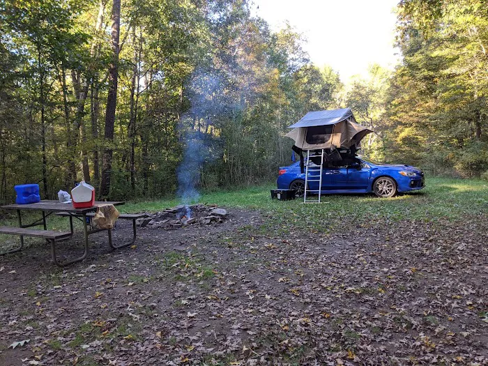 Campsite 78 2