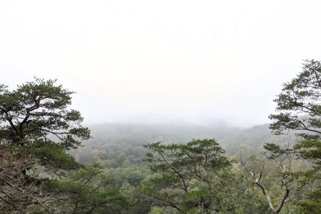 Campsite 78