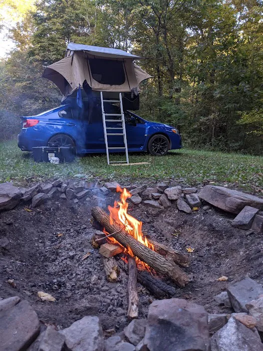 Campsite 78 3