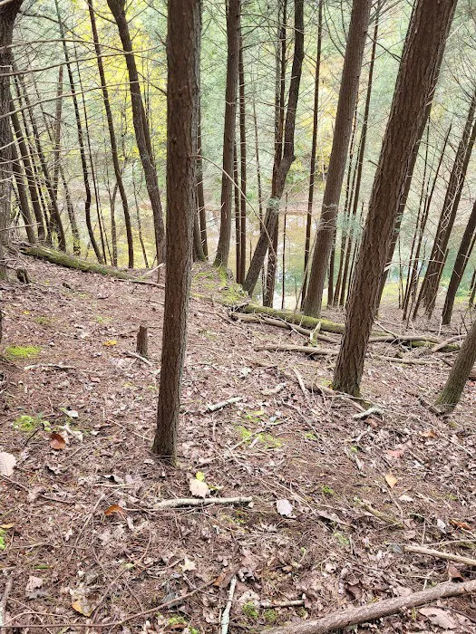 Campsite 78 9