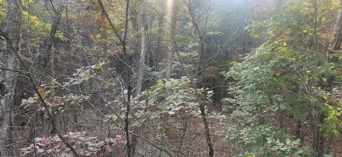 Campsite 78 8