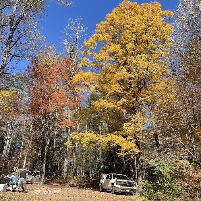 Campsite 78 7