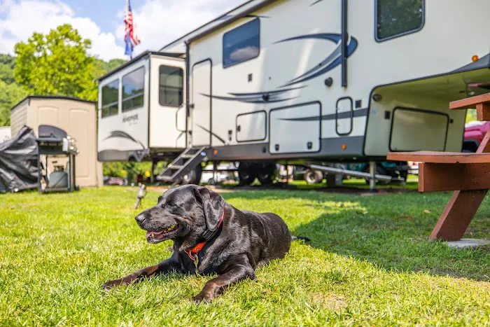 The Blue Canoe RV Resort 6